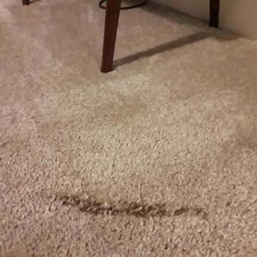 Carpet Burn Repair Frankston