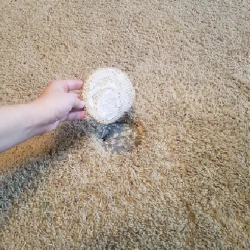 Carpet Hole Repair Frankston